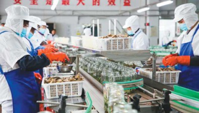 槿寧食品：食用菌產品出口創匯近2000萬美元