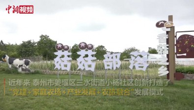 江苏泰州：姜堰打造“菇菇”部落主题体验科普园区
