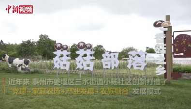 江蘇泰州：姜堰打造“菇菇”部落主題體驗科普園區