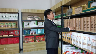 东北老板到甘肃漳县发展黑木耳产业，拓宽群众致富渠道