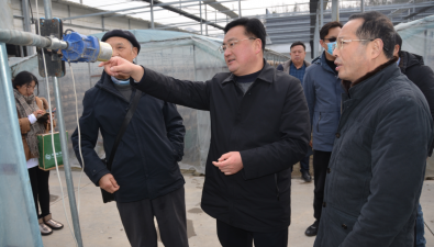 湖北隨縣：投資5200萬，香菇休閑食品項目10月投產！更多項目落地