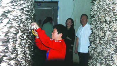 四川南充：組織食用菌生產環節技能大賽