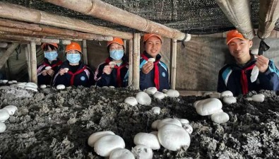 知新營食用菌合作社，獲評學生勞動教育基地（場所）