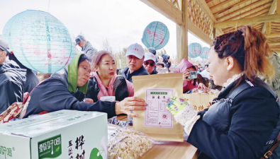 内蒙古阿尔山：开辟食用菌“出山”新路径