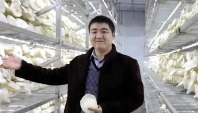 致敬！食用菌科技人！他們光照菌業強國路（1）