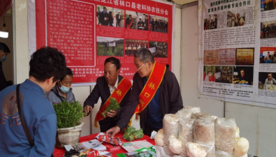 黑龙江林口县：老科协开展科普活动，推介食用菌等农产品100多种