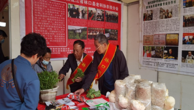 黑龍江林口縣：老科協開展科普活動，推介食用菌等農產品100多種