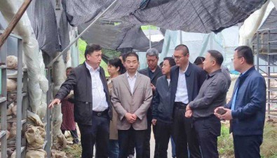 邊銀丙為陜西漢中食用菌發展提出建議