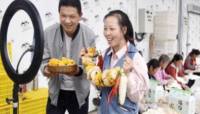 王永定：蘇陜協作，成就食用菌產業帶頭人