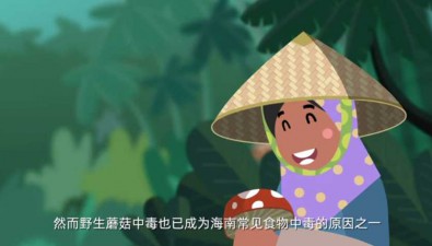 野生蘑菇中毒高發(fā)季，海南發(fā)布重要提示