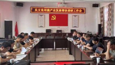 云南玉溪市：專家人才全程幫扶食用菌示范項目建設