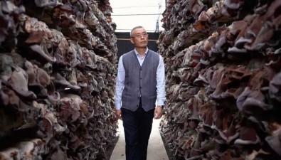 張文平：傾盡半生只為一事，解鎖黃背木耳增產提質“密碼”