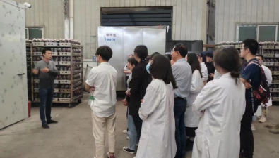 重庆将举办第八届羊肚菌栽培技术培训大会