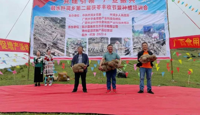 广西融水：组织第二届茯苓丰收节暨种植培训会