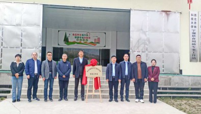 陜西寧強縣：加大食用菌技術保障支持