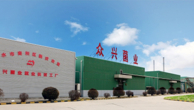 眾興菌業：自主研發為主，投入1041.36萬元