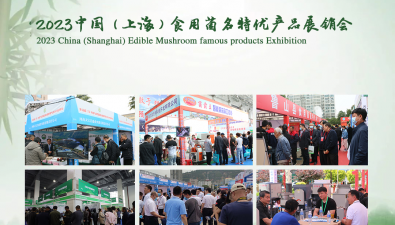 2023中国（上海）食用菌名特优产品展销会开始报名了