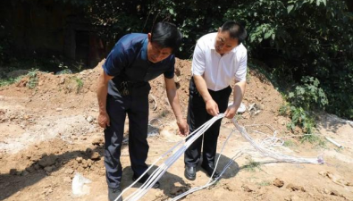 山东平阴：七彩谷食用菌基地清除杆线安全隐患