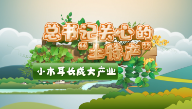 總書記關心的“土特產”|小木耳長成大產業