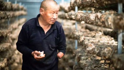 刘小平：抓住机遇，带领村民种香菇致富