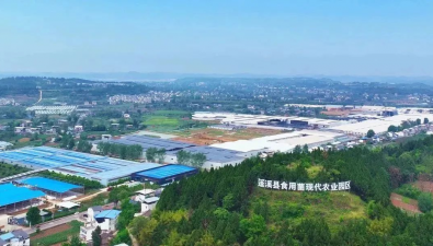 四川蓬溪：建成全国领先的虫草花工厂化基地 日产鲜品50吨