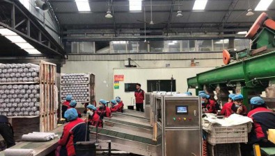 南安亮：經濟能人回鄉發展香菇，建起標準化大棚208座