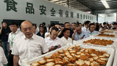 与会代表观摩蓬溪县食用菌产业