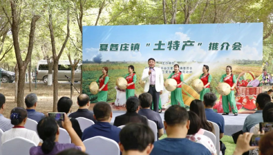赤松茸現身北京平谷夏各莊鎮“土特產”推介會