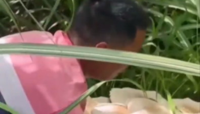云南村民捡到巨大野生口蘑，已被食用，安全无事！