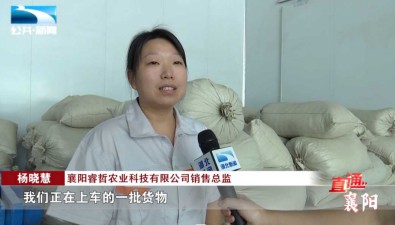 睿哲農(nóng)業(yè)：借力出海，今年實現(xiàn)對外出口1500萬美元
