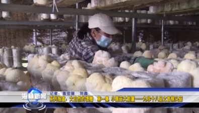 黑龙江海林成为猴头菇产业黄金地带