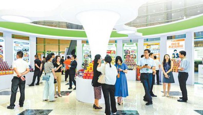 “巨型”花菇、金色银耳，亮相河南绿色食品产业大会