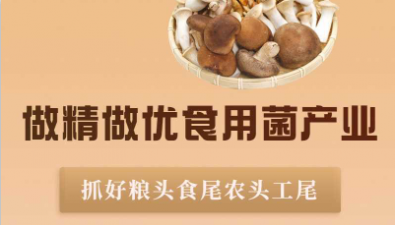 黑龍江如何做優做精食用菌產業
