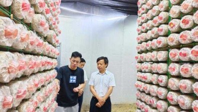 曾祥坤一行赴福建省招商考察食用菌产业