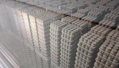 河南泌阳：实现食用菌工厂化种植转型升级