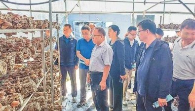 甘肃省农科院与临夏州合力推动食用菌产业提质增效
