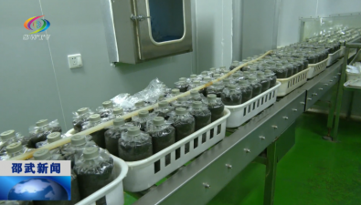 厲害！我國多地在食用菌液體菌種技術方面獲喜人突破