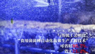 河北平山縣：科技支撐，專利技術種植食用菌增效20%以上