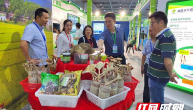 湖南省食用菌研究所食药用菌亮相湖南绿博会