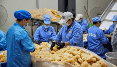 福建古田：“縣域工廠”模式，從業(yè)人員30多萬人