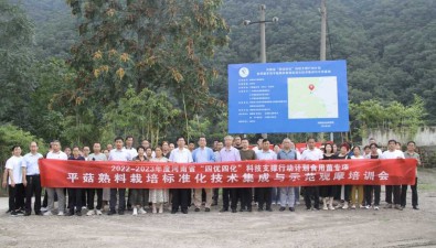 河南召開“平菇熟料栽培標準化技術集成與示范”觀摩培訓會