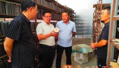 河南泌阳县：2022年实现袋料香菇种植3.3亿袋
