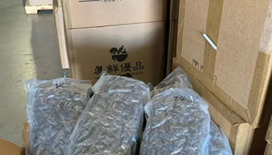 7000磅大麻伪装成“香菇”运纽约，俄州警方截获