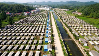 湖北隨縣：籌備成立香菇產業聯合黨委