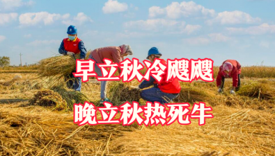 今年立秋有3個“不一般”