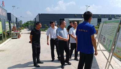 河南商丘市乡村产业发展中心主任杨斌调研食用菌产业情况