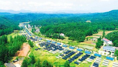 湖北随州：种数字菇，出品率是行业平均水平3.5倍
