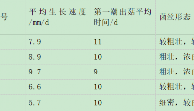 香菇菌糠再利用栽培毛木耳技术