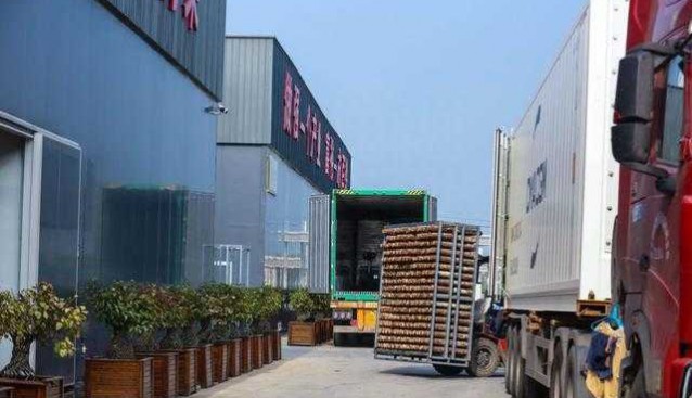 正和農業：年出口食用菌棒達600萬棒