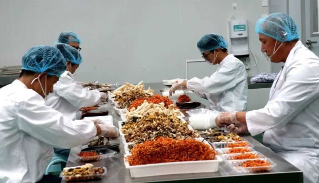 云南漾濞：“食用菌”成為鄉村振興“實用軍”